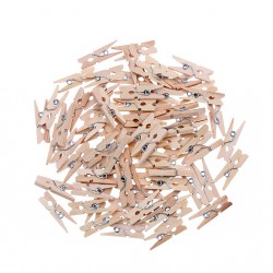 Set van 250 micro wasknijpers uit hout (25 mm)