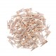 100 pieces micro clothes pins (25 mm)