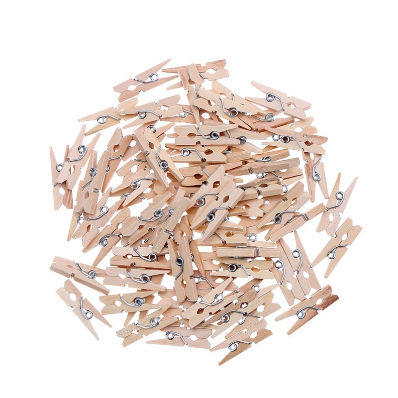 100 pieces micro clothes pins (25 mm)