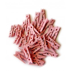 100 stuks roze micro wasknijpers hout (25 mm)
