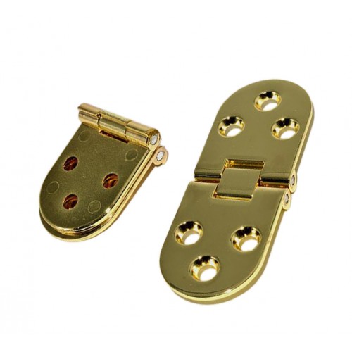 Metalen goudkleurige scharnier (30mm x 80mm)