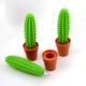Funny pen cactus