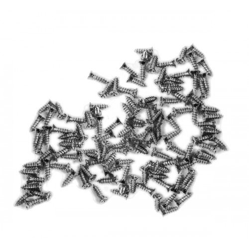 100 mini schroefjes (2.5x8 mm, verzonken, zilverkleur)