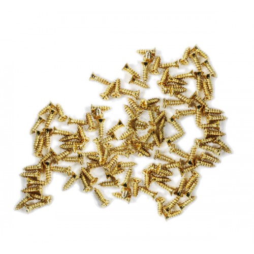 100 mini schroefjes (2.5x8 mm, verzonken, goudkleur)